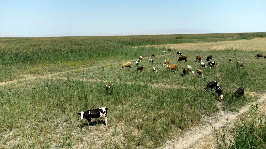 İLERİDE GÖLÜN ÜZERİNE BİNALAR YAPILABİLİR 7