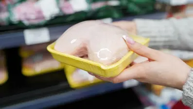 Tavuk eti üretimi haziranda aylık bazda arttı