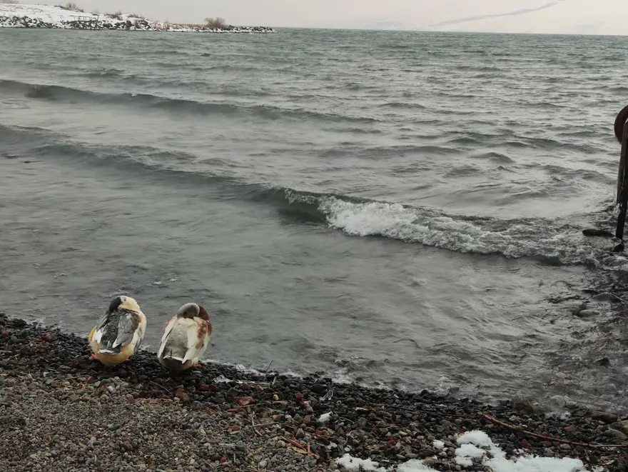 Çıldır Gölü donmadı: Turizmciler tedirgin 6
