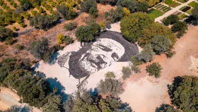 Aşık Veysel'in vefatının 50. yılında Bodrum'da dev portresi yapıldı