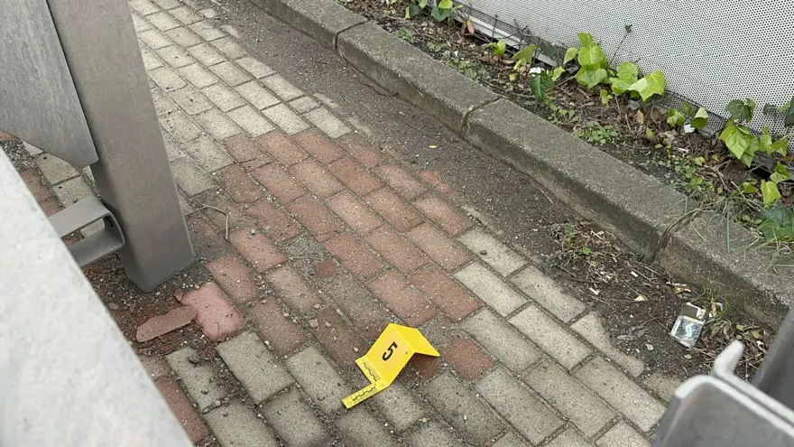 'Çerkes Cengiz'e silahlı saldırı (Çerkez Cengiz kimdir?) 6