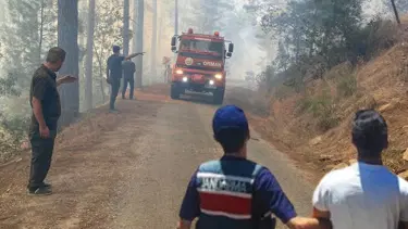 Şaka yaparken ormanı yakan kişi için istenen ceza belli oldu