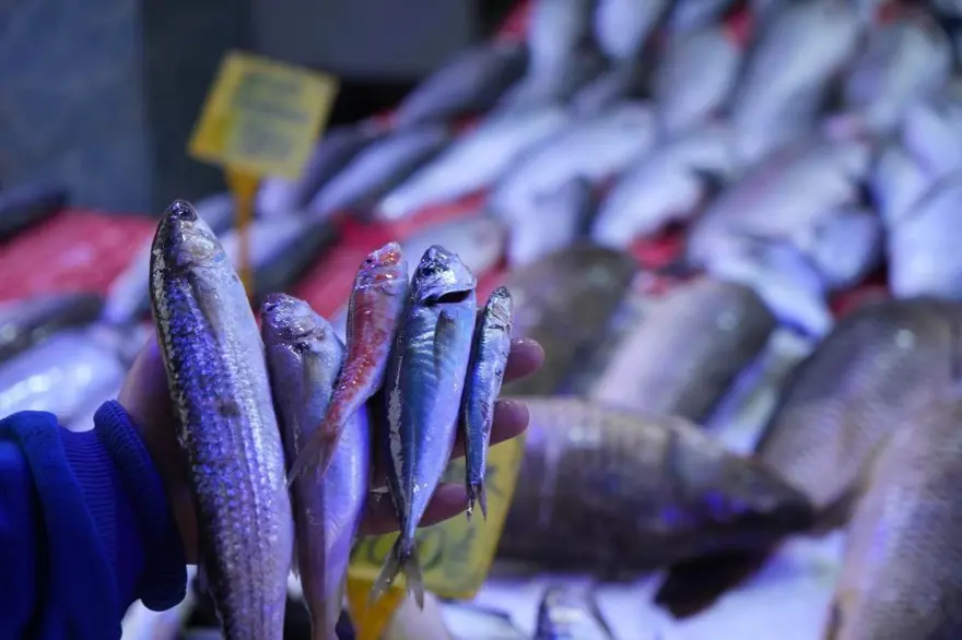 Bolluk müjdesi: Bu yıl 2 çeşit de tezgahta olacak 