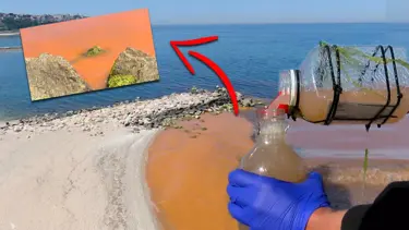 Karadeniz'in rengi korkuttu: İlk defa böyle bir şey gördük