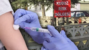 Uzman isim açıkladı: Kuduz belirtileri neler, tedavisi var mı? (Kuduz bulaşıcı mı?) Uzman isim açıkladı: Kuduz belirtileri neler, tedavisi var mı? (Kuduz bulaşıcı mı?)