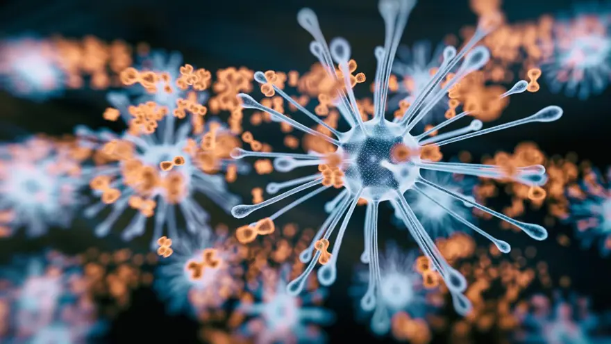 Covid-19'a karşı antikorlarınız ne kadar güçlü? Cinsiyetinize ve yaşınıza bağlı olarak değişiyor 3