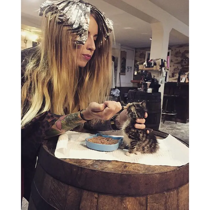 Hayatını kedileri kurtarmaya adadı 318