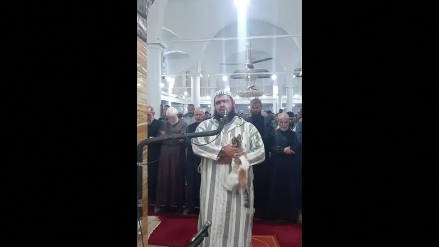 Teravih namazı kıldıran imamın kedi şefkati viral oldu 7