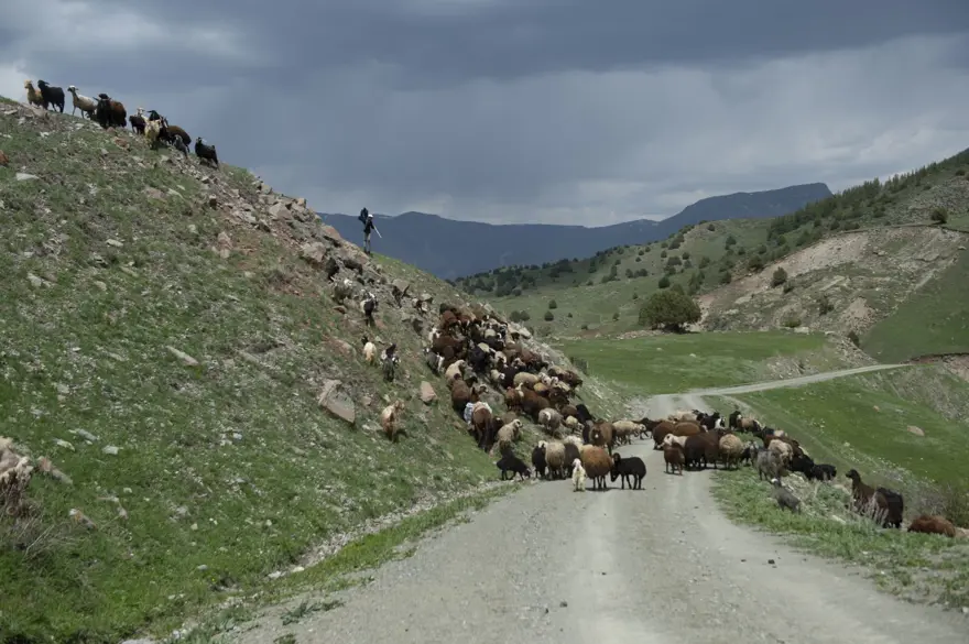 Erzurum'un ilçeleri ilkbahar güzelliğiyle fotoğraf tutkunlarını ağırlıyor 8
