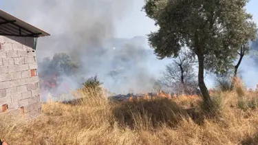 Bodrum’da otluk ve zeytinlik alanda yangın