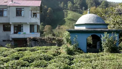 Ölmeden kendine türbe gibi mezar yaptırdı