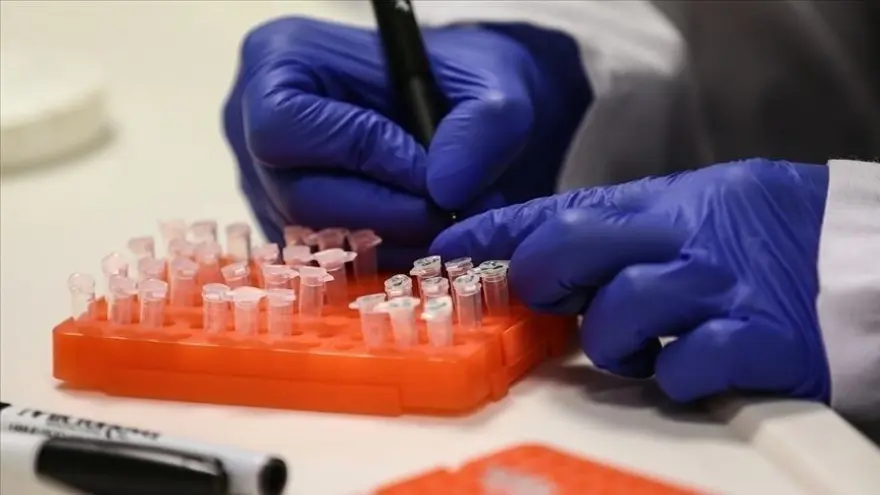 M ÇİÇEĞİ (MPOX) VİRÜSÜ HANGİ HAYVANLARDAN BULAŞIR? 2