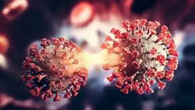 Avrupa Hastalık Önleme ve Kontrol Merkezi: Kraken alt varyantının risk seviyesi düşük