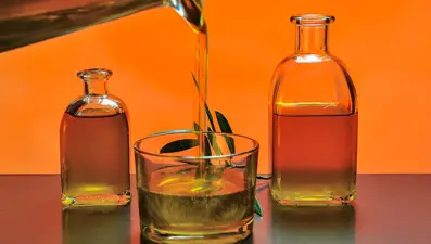 Zeytinyağı fiyatları düşecek mi? Rekor rekolte bekleniyor