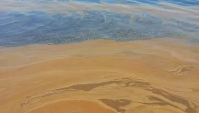 Yalova'da deniz kirliliği: Fabrikaya inceleme başlatıldı