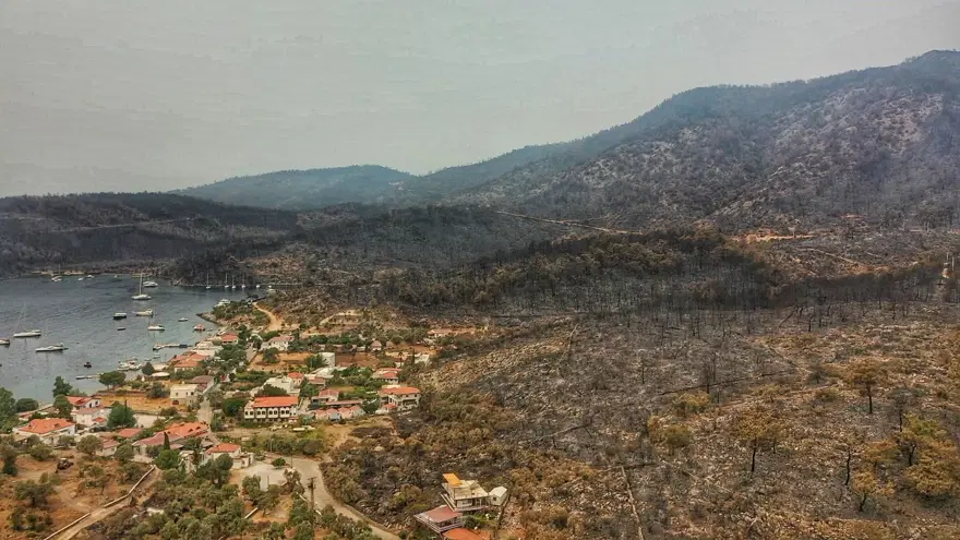 Bodrum ve Milas'ta yanan alanlar havadan görüntülendi 24 Bodrum ve Milas'ta yanan alanlar havadan görüntülendi 24