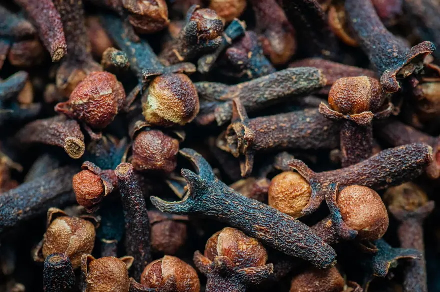 KİLO VERMEYİ KOLAYLAŞTIRIR 1