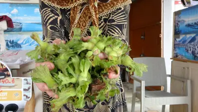 TMO 200 lira açıkladı: Tezgahta 300 liradan satışta