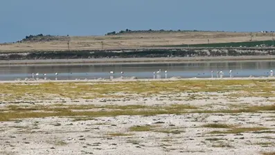 Düzensiz sulama Arin Gölü'nü yok ediyor