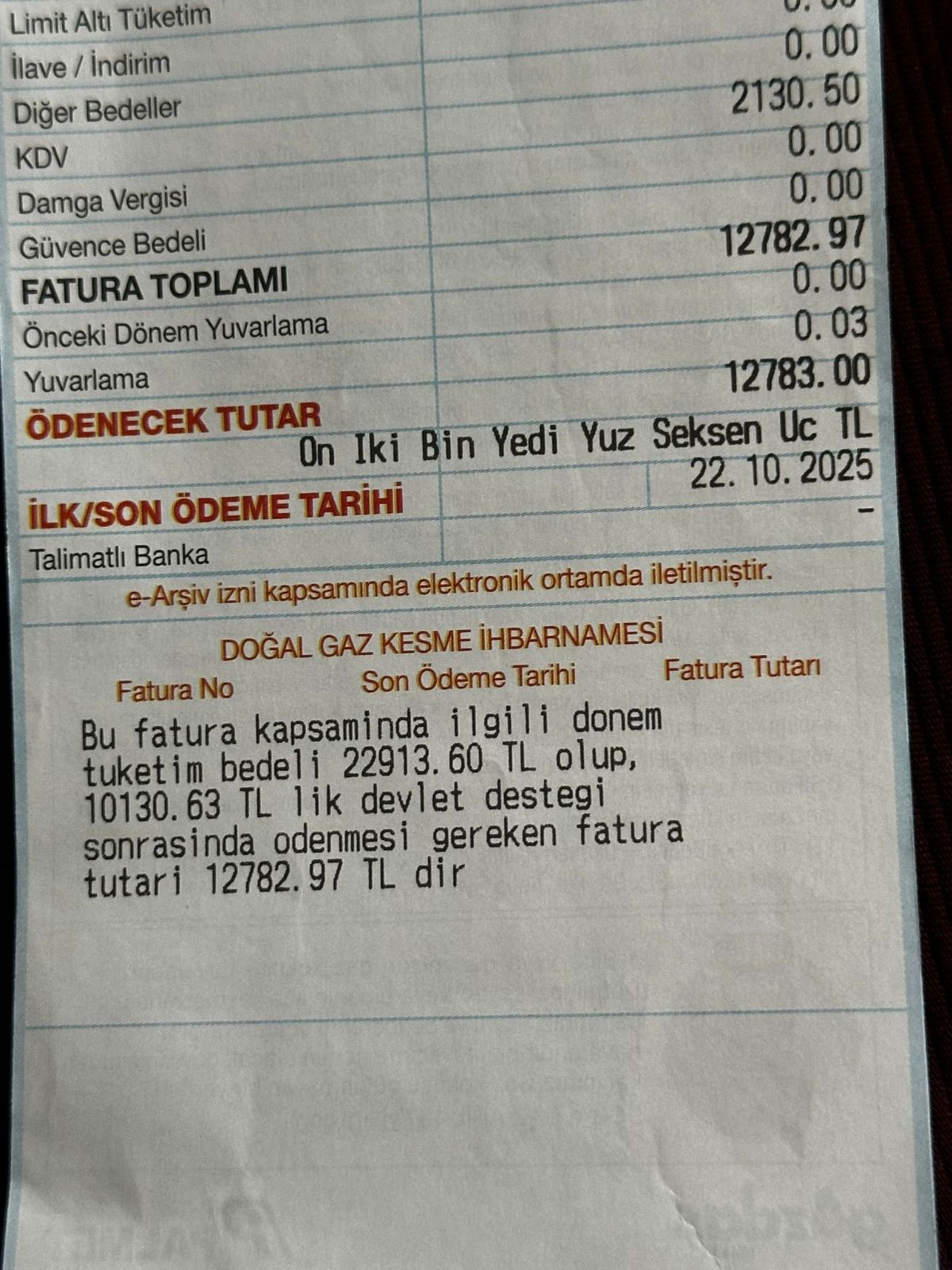 İki kişilik aileyi kara kara düşündüren doğalgaz faturası: "Bu kadar yüksek gelmesi imkansız"