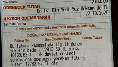 İki kişilik aileyi kara kara düşündüren doğalgaz faturası: "Bu kadar yüksek gelmesi imkansız"