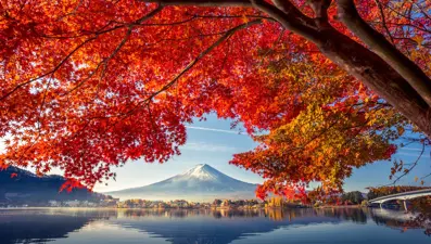 Japonya, son 126 yılın en sıcak sonbaharını yaşadı