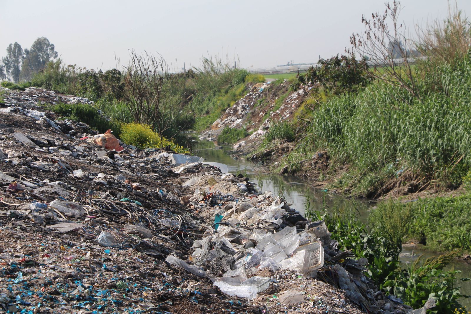 Plastik kirliliği, küresel ısınma kadar tehditkar