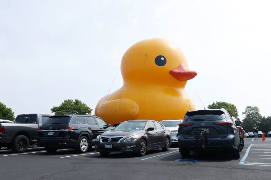 Dünyanın en büyük lastik ördeği New York'ta sergileniyor 