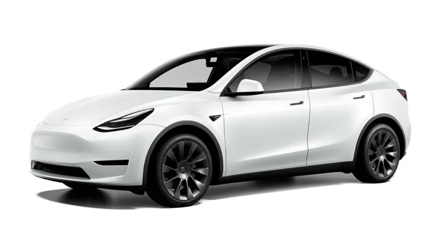TESLA 53