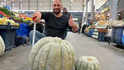Devasa kabak görenleri şaşırttı: Tam 60 kilo ağırlığında