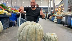 Devasa kabak görenleri şaşırttı: Tam 60 kilo ağırlığında