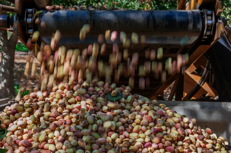 KİLO YÖNETİMİ VE KALP SAĞLIĞI 1 KİLO YÖNETİMİ VE KALP SAĞLIĞI 1