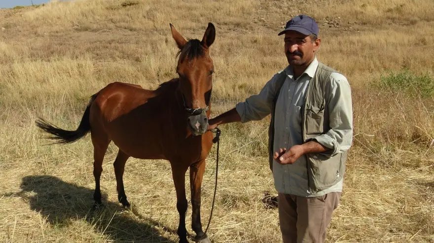Batman'da ata tüfekli saldırı (Vücudundan 18 saçma çıktı) 3