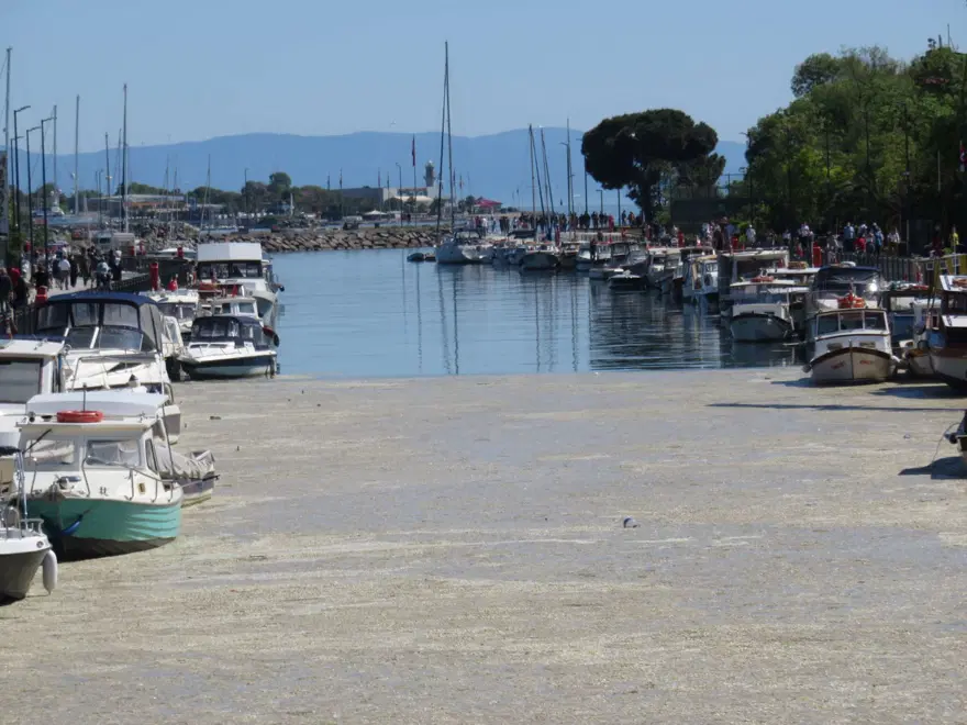 İstanbul'da Kurbağalıdere'yi de deniz salyası kapladı 3 İstanbul'da Kurbağalıdere'yi de deniz salyası kapladı 3