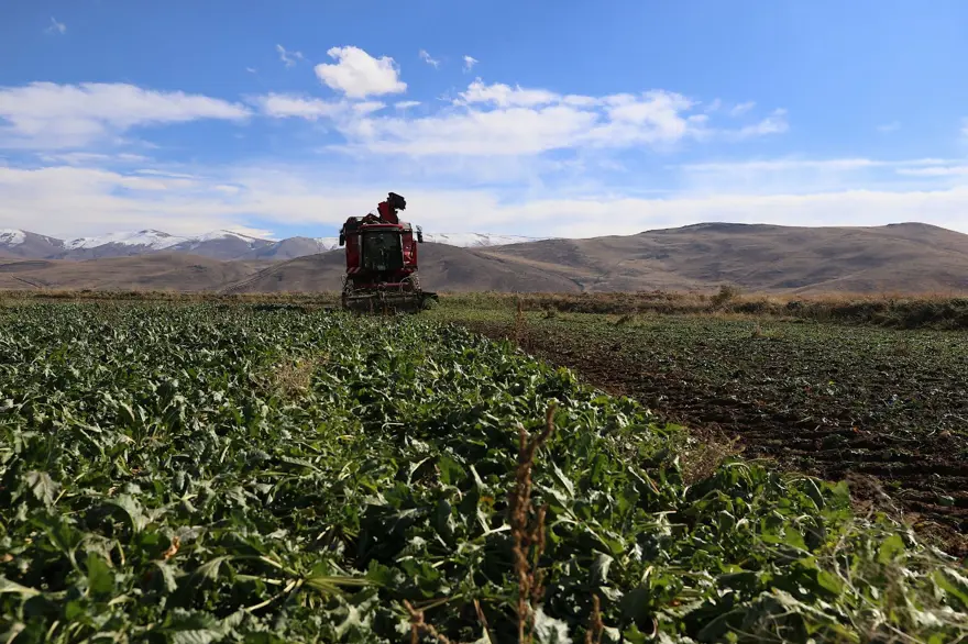 Yüzde 40 arttı: Çiftçilerden rağbet görüyor 2
