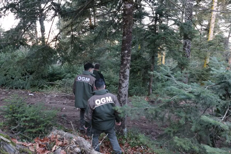 Ormanda yılbaşı nöbeti 1