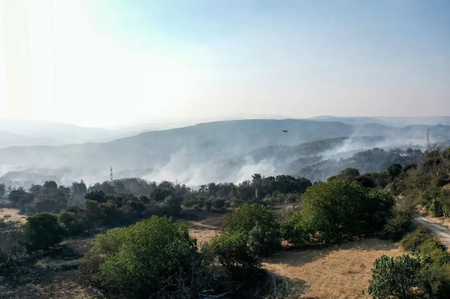 Çanakkale'de orman yangını kontrol altında 41
