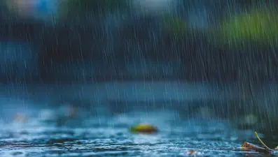 İlk hücrelerin evriminde yağmur suyunun rolü