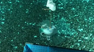 Mariana Çukuru’nda bir robot: Çinli bilim insanlarından yeni atak
