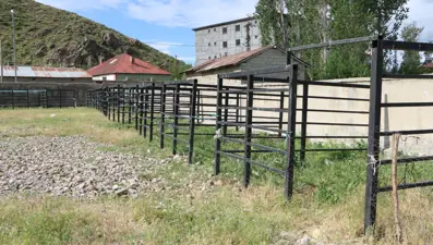 Hakkari'de bayram öncesi şap alarmı