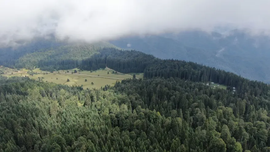 Sis altındaki Batı Karadeniz yaylaları sonbaharda da ziyaretçilerini ağırlıyor 14