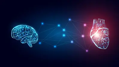 Sevginin beyne etkisi: Her duygunun farklı bölgeyi harekete geçirdiği ortaya çıktı