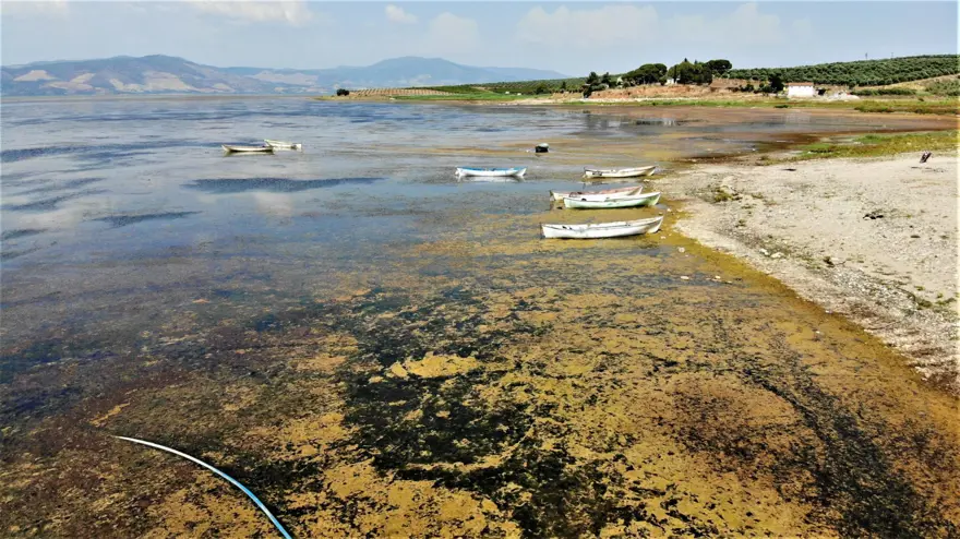 Bir zamanlar kuş cennetiydi, şimdi kuraklık tehlikesiyle karşı karşıya 
