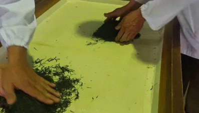 Japonya’daki açık artırmada 1 kilogram çay 226 bin liraya satıldı