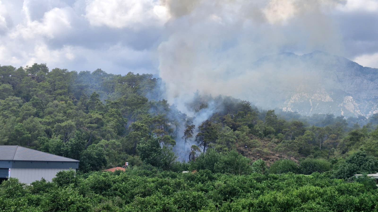 Antalya'daki orman yangını kontrol altında
