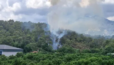 Antalya'daki orman yangını kontrol altında
