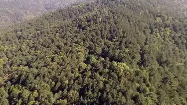 Sıcaklıklar 40 dereceyi bulacak! Valilikten dikkatli ve tedbirli olun uyarısı