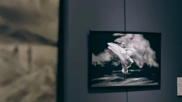 Nurullah Genç Görünenin Şiiri sergisi açıldı