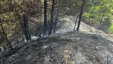 Hatay'da çıkan orman yangını söndürüldü