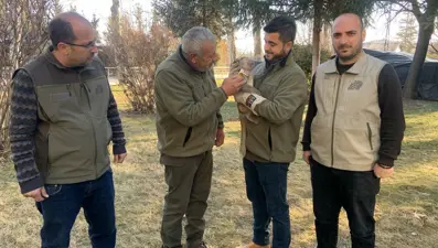 Yolda yürürken maymun buldu!